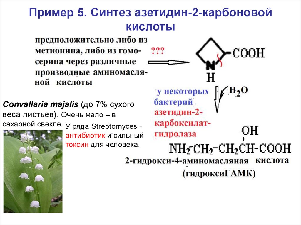 Схема микробиологического синтеза аминокислот