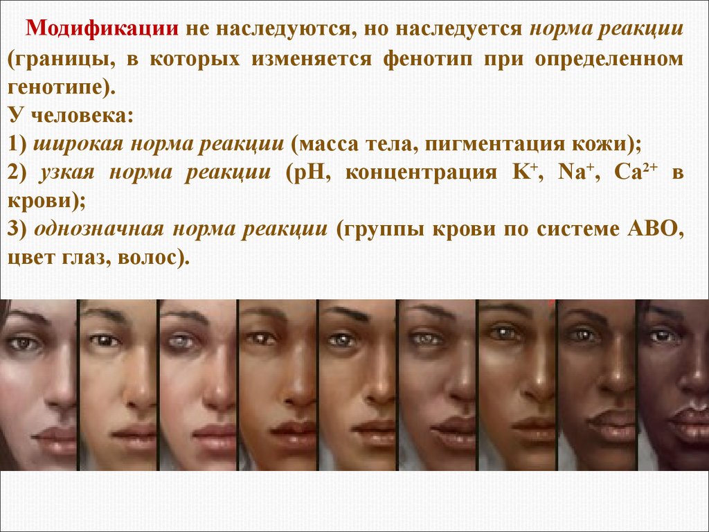Примеры изменчивости у человека. Фенотип человека. Цвет кожи человека. Фенотипические изменения у людей. Генетика цвета кожи человека.
