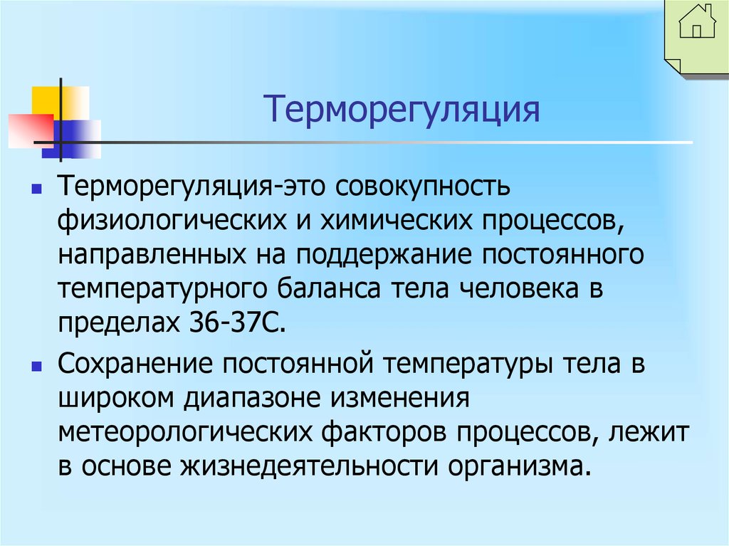 Терморегуляция картинки для презентации