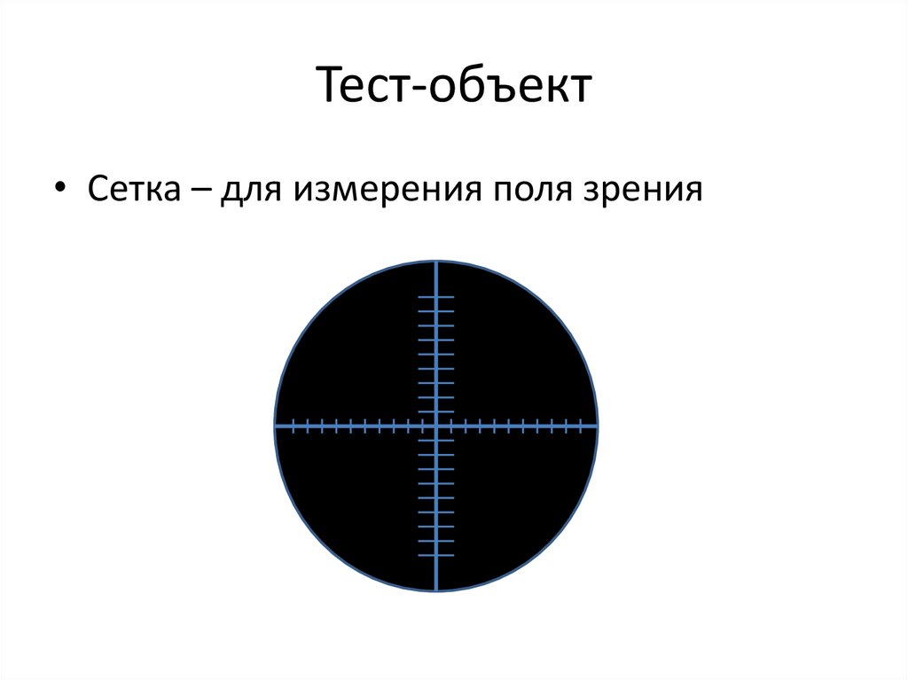 Тест предметы тест объекты