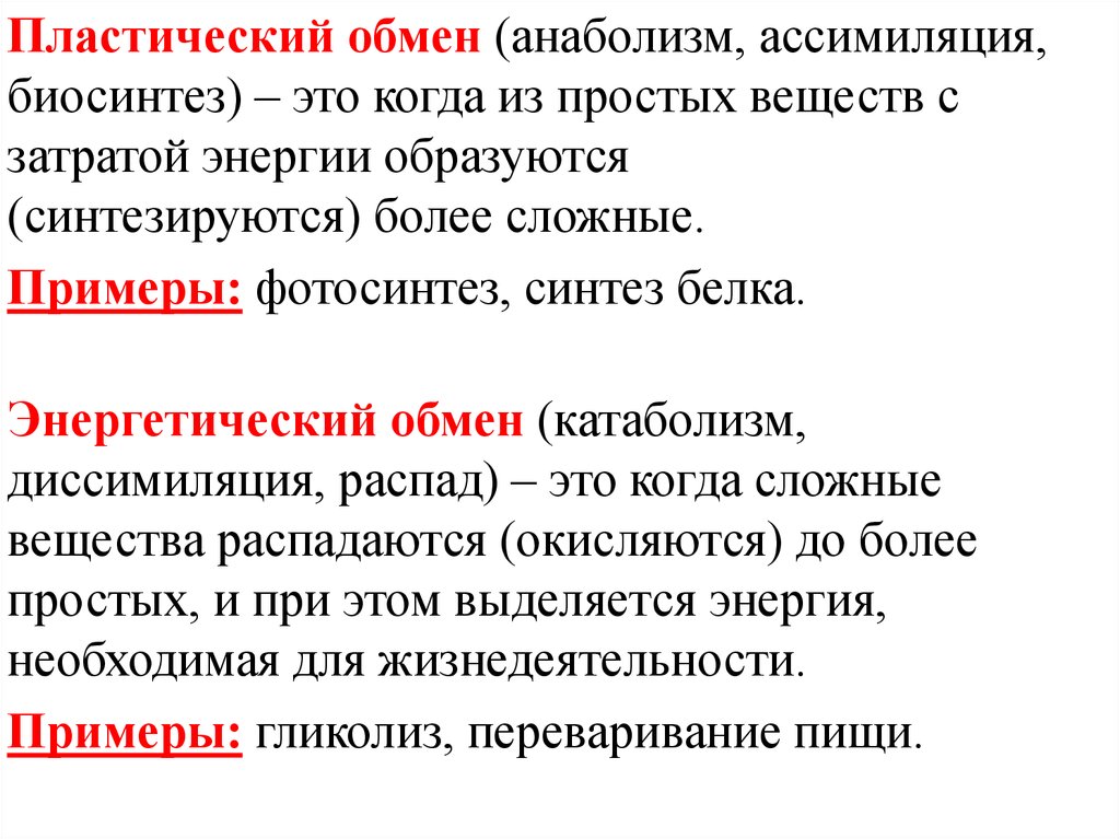 Ассимиляция синтез белка. Обмен веществ пластический обмен Биосинтез белков. Пластический обмен и энергетический обмен примеры. Пластический обмен Синтез белка кратко. Пластический обмен припер.