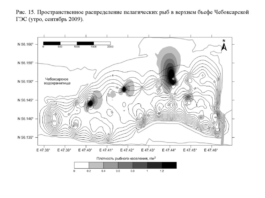 Горизонтальное распределение. Пространственная структура гидробионтов. Классификация гидробионтов гидрология. Гидрологическое моделирование. Гидрологический разрез.