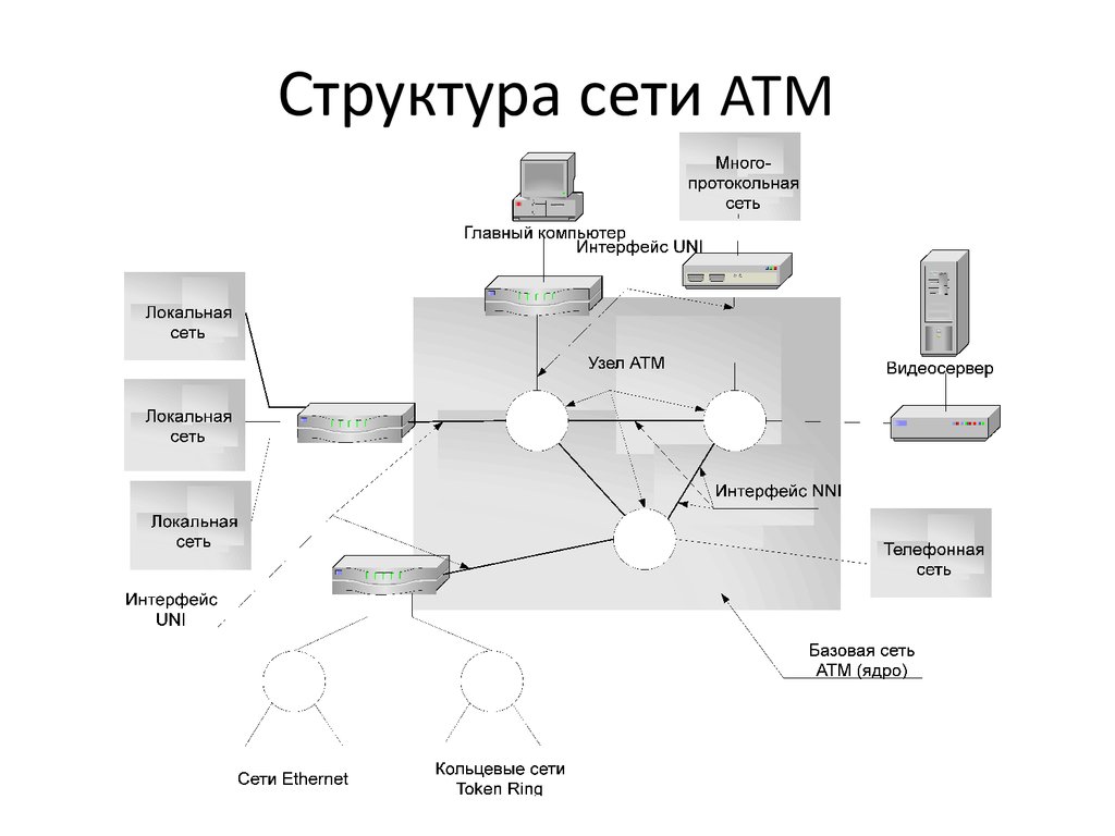 Состав сетей