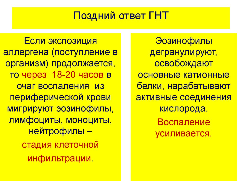 Ранние в ответ. Этапы позднего ответа при ГНТ. Этапы позднего ответа при ГНТ на примере бронхиальной астмы. Поздняя фаза ГНТ. Основные этапы реализации ГНТ..