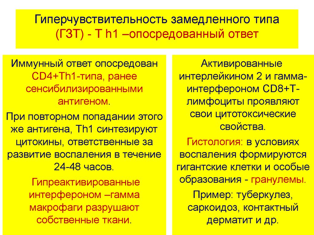 Типы гиперчувствительности. 1 Тип гиперчувствительности патанатомия. Типы гиперчувствительности иммунология. Вид реакции гиперчувствительности замедленного типа. Механизм развития реакции гиперчувствительности замедленного типа.