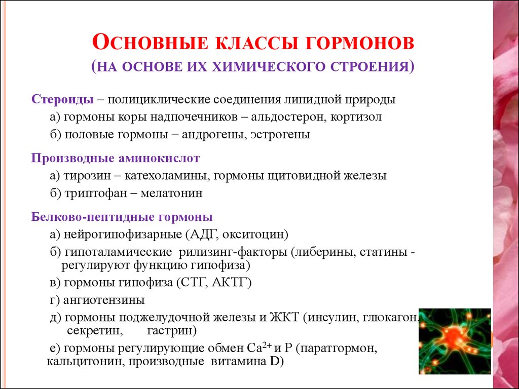 Проект на тему гормоны