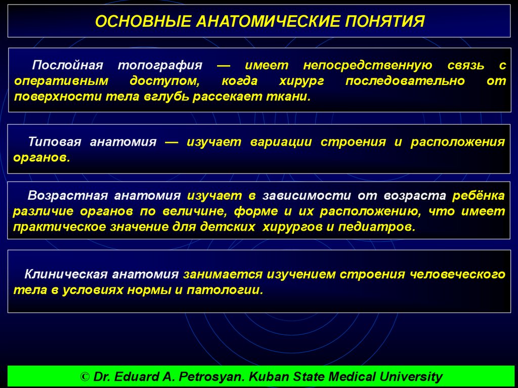 Существенные понятия. Основные анатомические понятия. Основные понятия топографической анатомии. Основные анатомические термины и понятия. Ключевые термины и понятия анатомии.