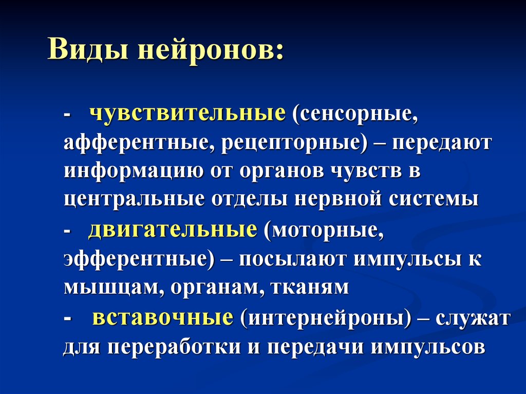 Нейроны виды. Виды нейронов. Виды виды нейронов. Виды чувствительности нейронов. Типы нейронов чувствительные.