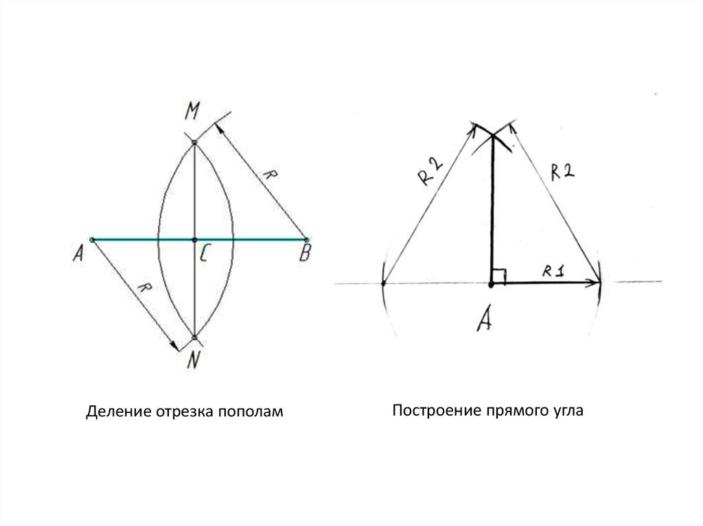 Отрезок делящий сторону пополам