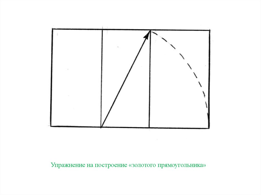 Сечение прямоугольника. Построение золотого сечения в прямоугольнике. Золотой прямоугольник золотое сечение. Построение золотого прямоугольника. Построить золотой прямоугольник.