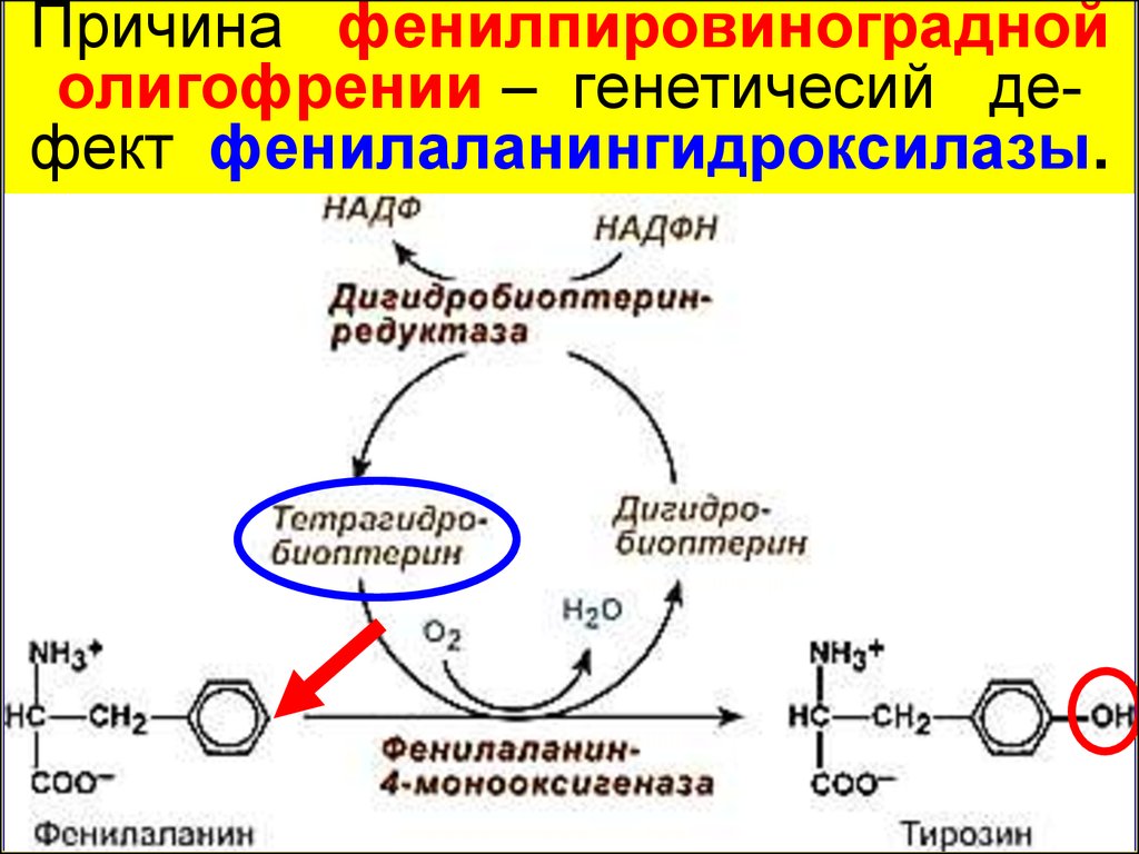 Биоптерин