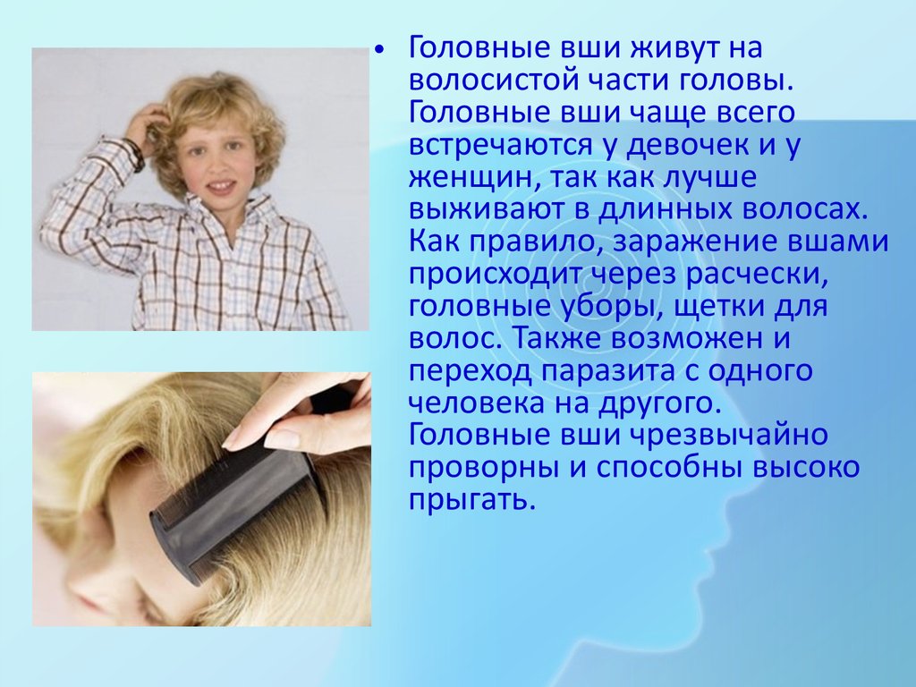 Обработка при педикулезе. Обработка волосистой части головы. Обработка волосистой части головы пациента при педикулезе. Для обработки волосистой части головы при обнаружении педикулеза. Педикулез волосистой части головв.