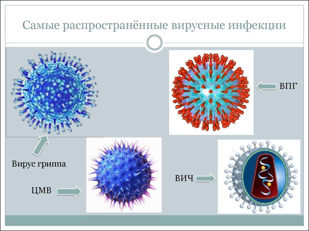 Вирусы вызывают различные заболевания. Вирусные инфекции. Самые распространенные вирусы. Распространенные вирусные заболевания. Самые распространенные вирусные инфекции.