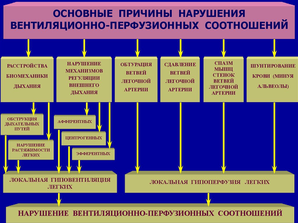 Биомеханика внешнего дыхания презентация