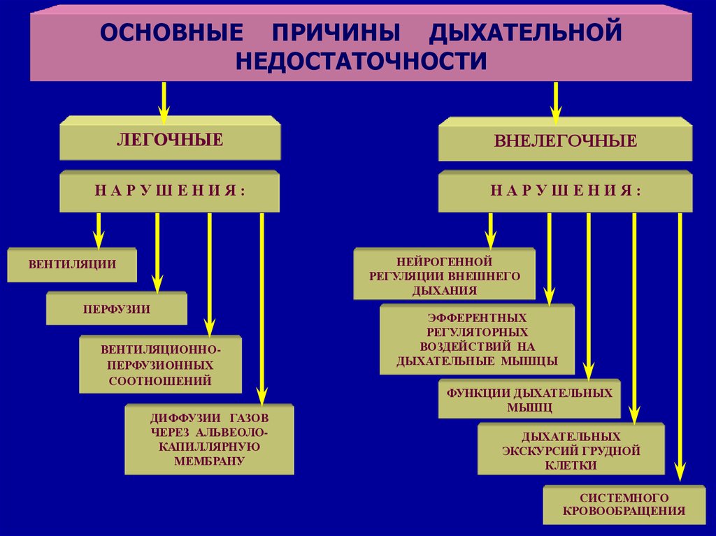 Гипоксии патофизиология презентация