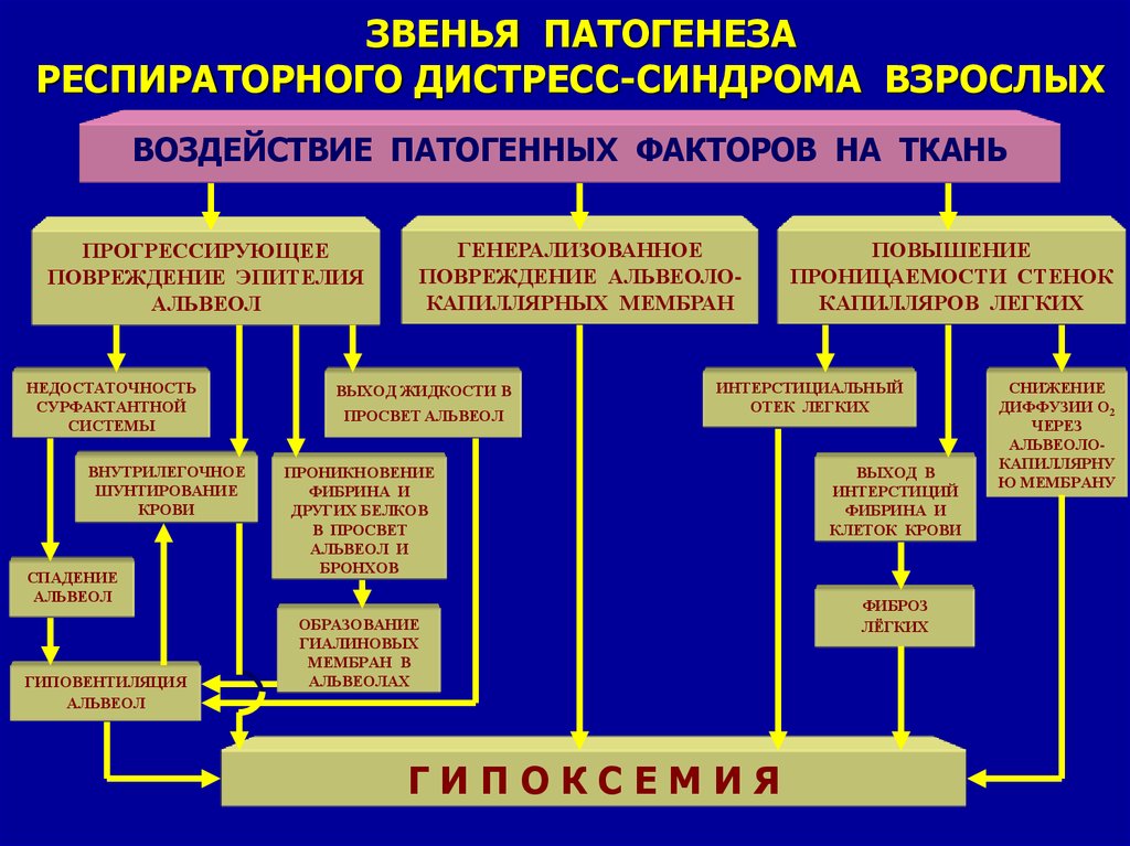 Гипоксии патофизиология презентация