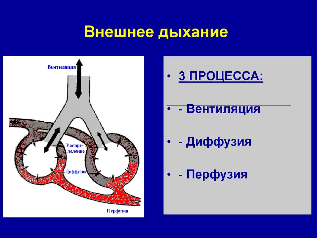 Дыхание 80