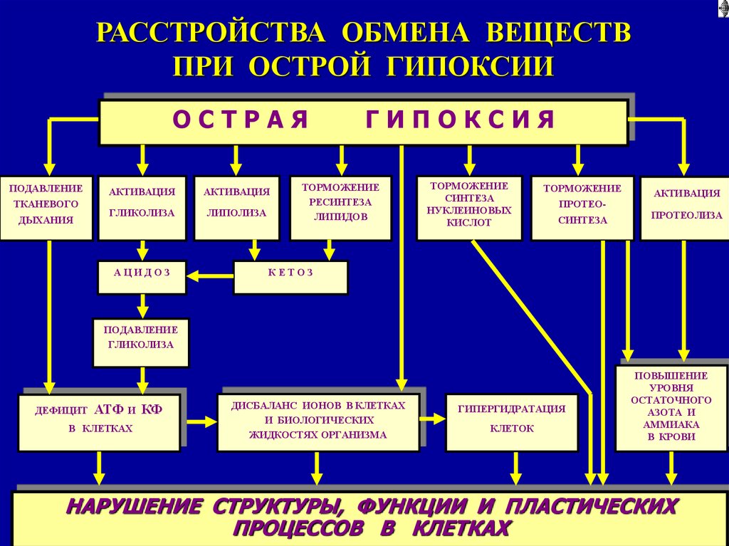 Дыхательная недостаточность патофизиология презентация