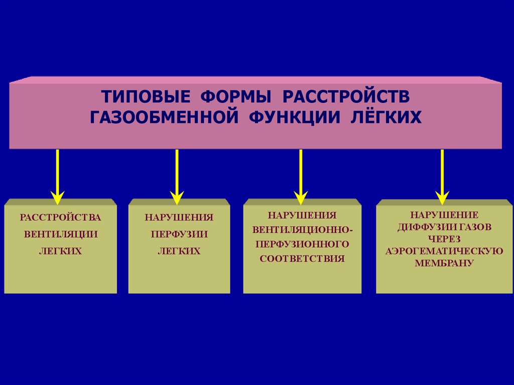 Дыхательная недостаточность патофизиология презентация