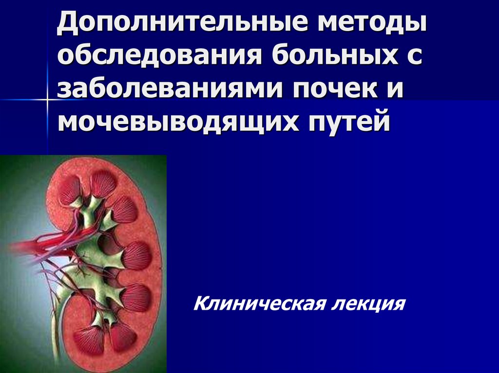 Препараты почки и мочевыводящие пути. Методы обследования больных с заболеваниями почек. Методы обследования при заболеваниях почек и мочевыводящих путей. Обследование больных с заболеваниями почек и мочевыводящих путей. Методика обследования пациента с заболеваниями почек.