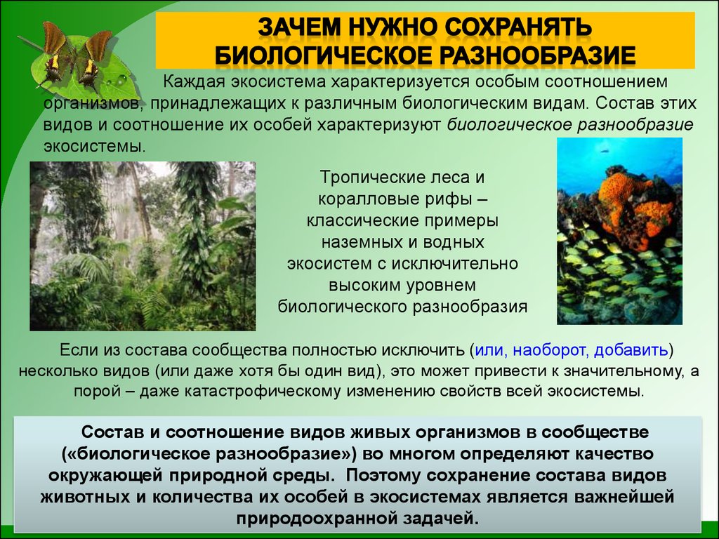 Растения в биосфере является. Сохранение биологического разнообразия. Сохранение биоразнообразия. Биологическое разнообразие. Сохранение биологического разнообразия растений.
