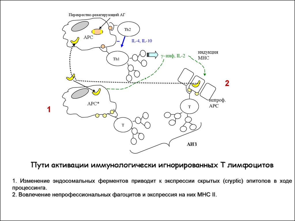 Пинюг карта спутник