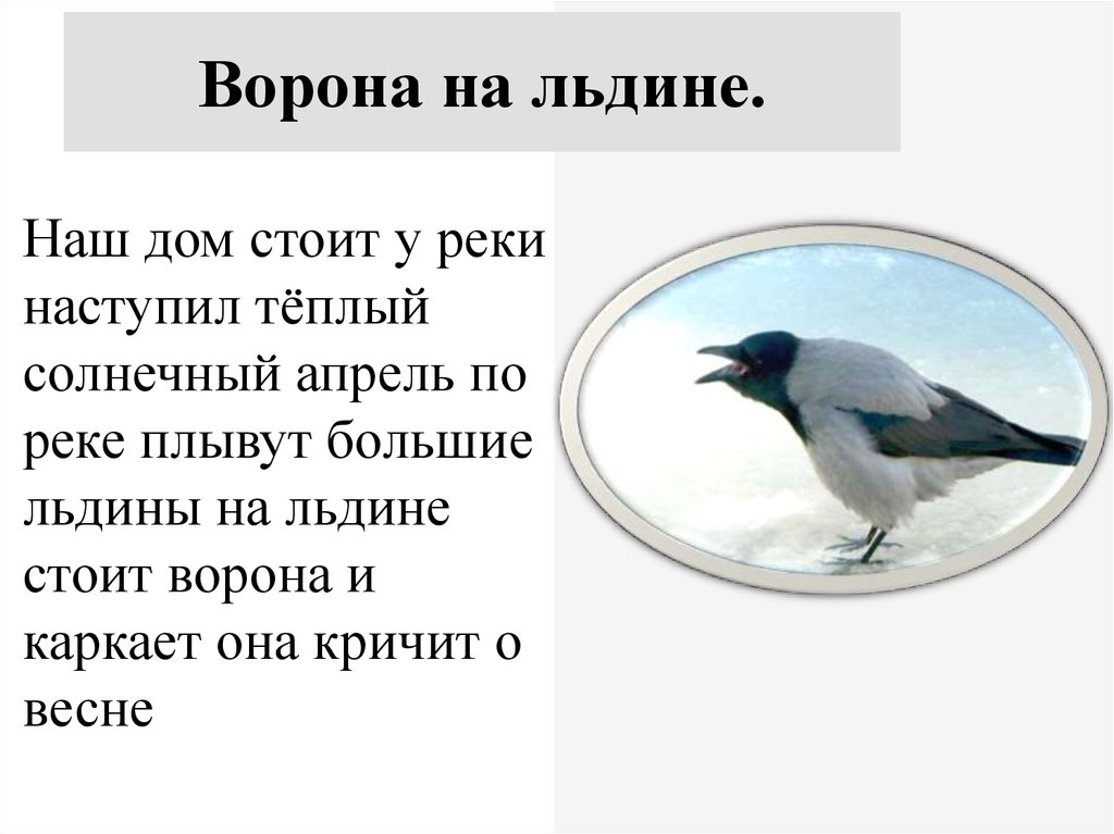 Ворона каркает составить предложение. Ворона каркает предложение. Ворона на льдине. Наступил теплый апрель. Ворона каркает а сорока что делает.