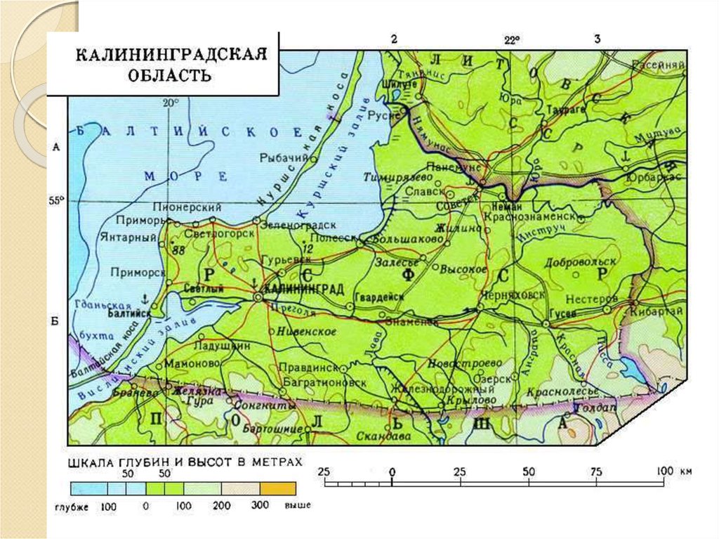 Карта долголетия калининград