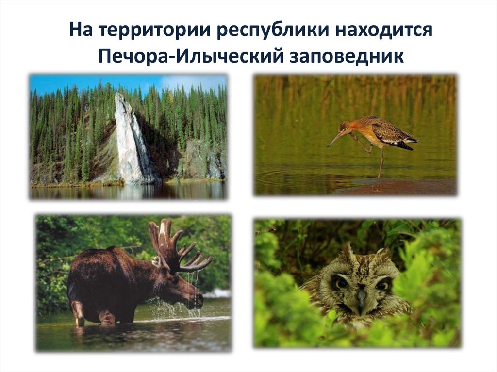 На территории республики находится Печора-Илыческий заповедник