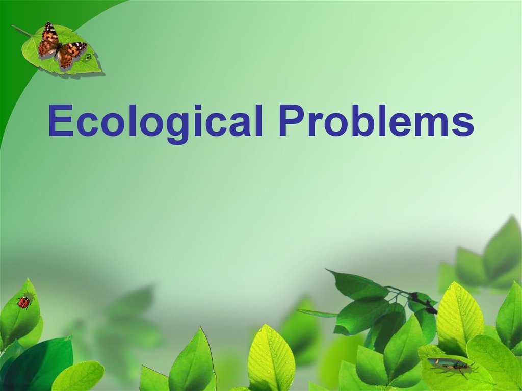 Ecological Problems
