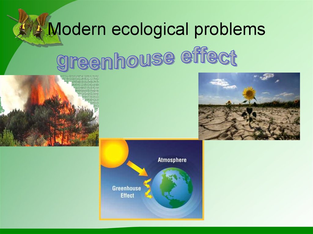 Ecological problems презентация