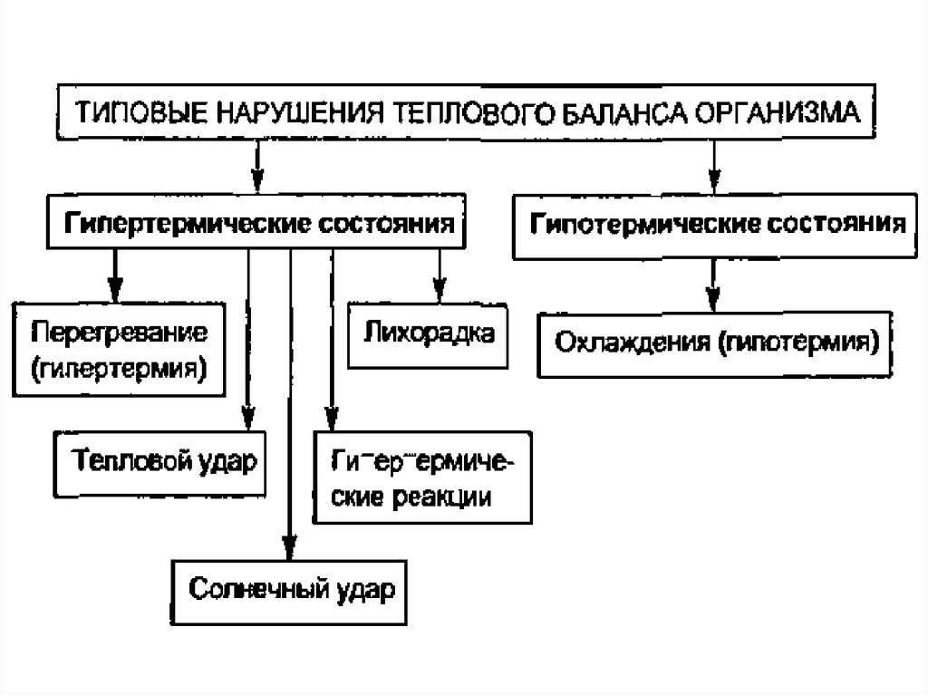 Гипотермия патофизиология презентация