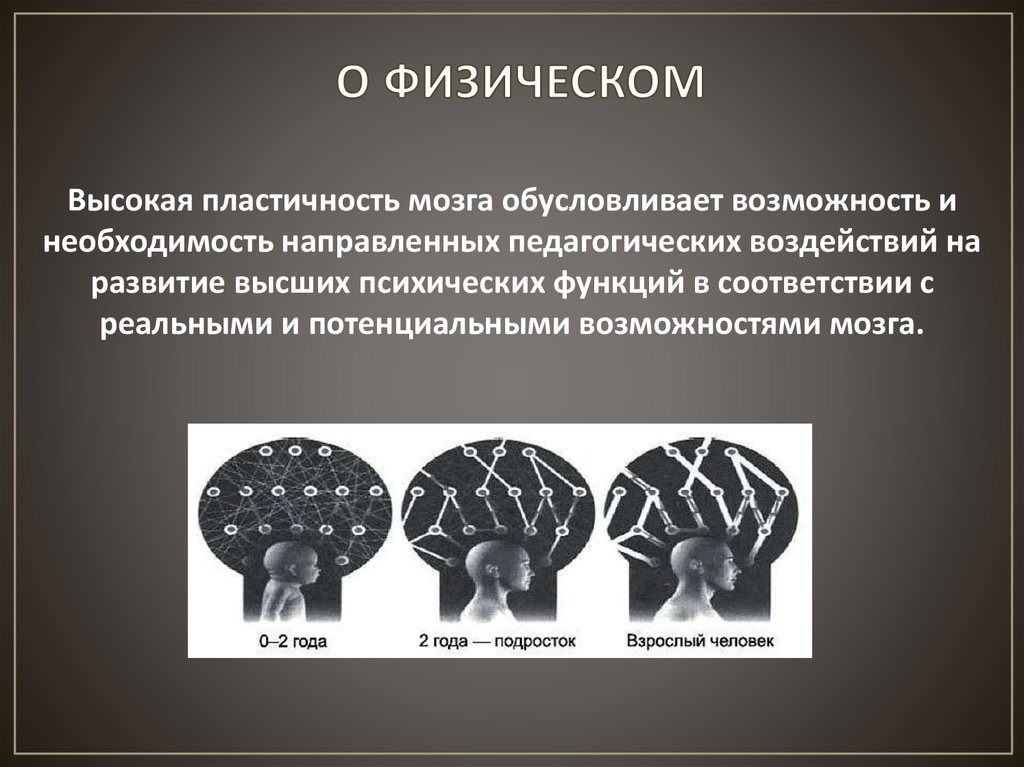 Обусловленный мозг. Нейропластичность мозга. Показатель пластичности мозга. Пластичность мозга физиология. Пластичность человеческого мозга.