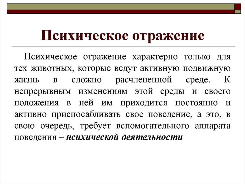 Понятие отражения. Допсихическое отражение. Психологическое отражение. Формы психического отражения. Процесс психического отражения.