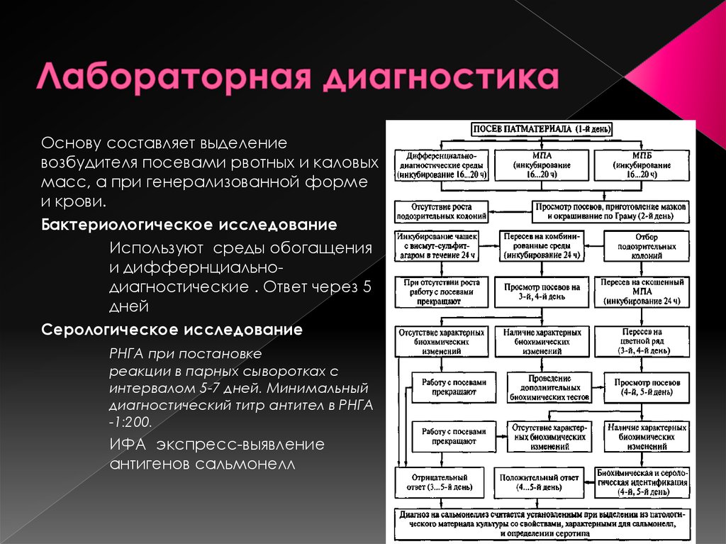 Практическая диагностика. Лабораторная диагностика сальмонеллеза. Методы лабораторной диагностики при сальмонеллезе. Лабораторная диагностика сальмонелл. Диагностические исследования при сальмонеллезе.