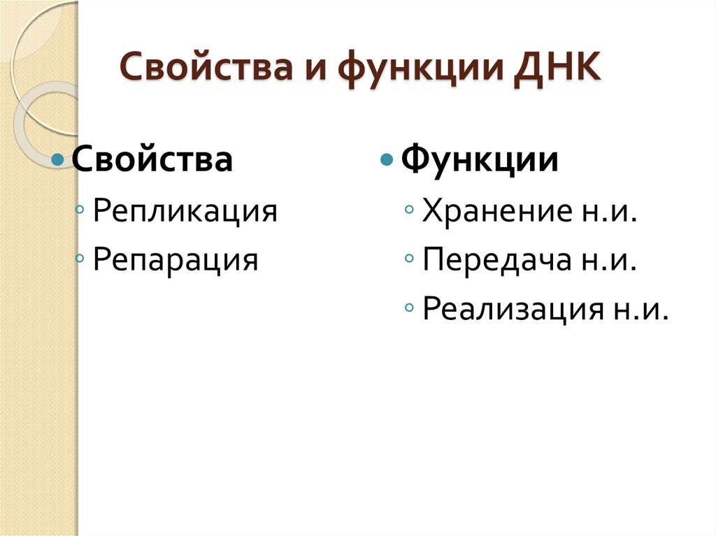 Функции днк