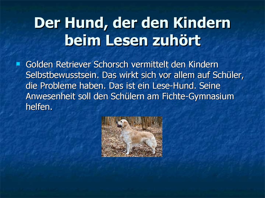 Das hund. Das Hund или der Hund.