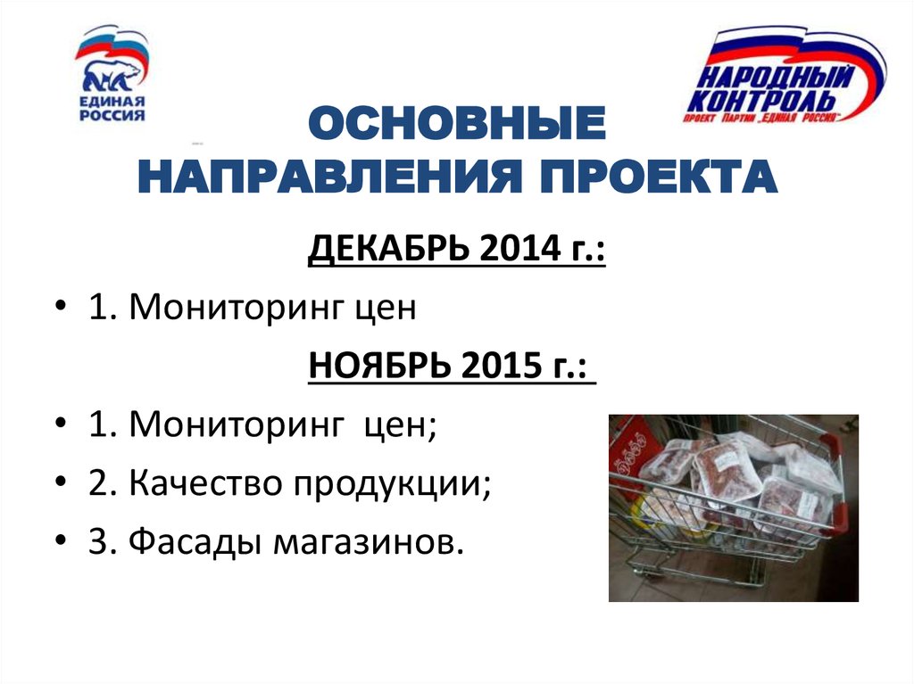 ОСНОВНЫЕ НАПРАВЛЕНИЯ ПРОЕКТА