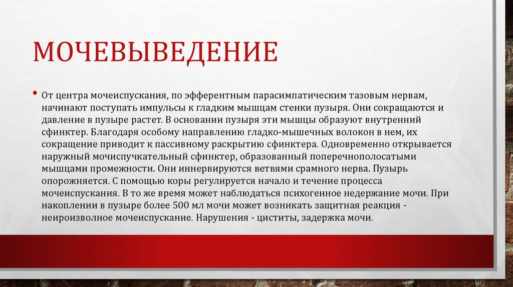 Мочевыведение