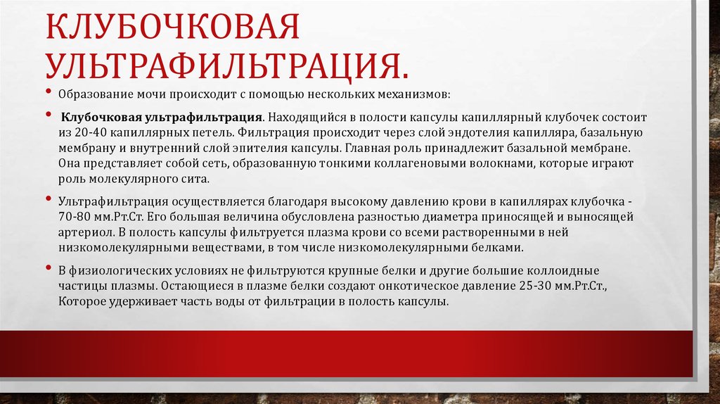 Клубочковая ультрафильтрация.