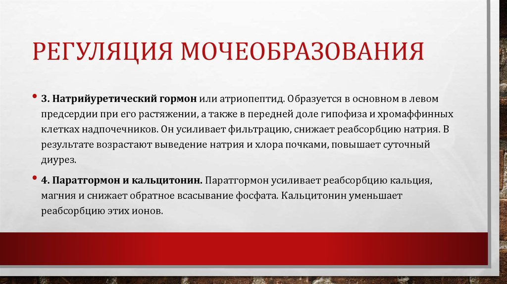 Регуляция мочеобразования