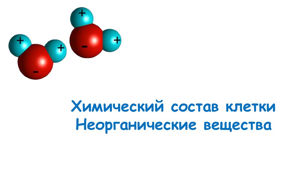 Карта осадков хвойная новгородская