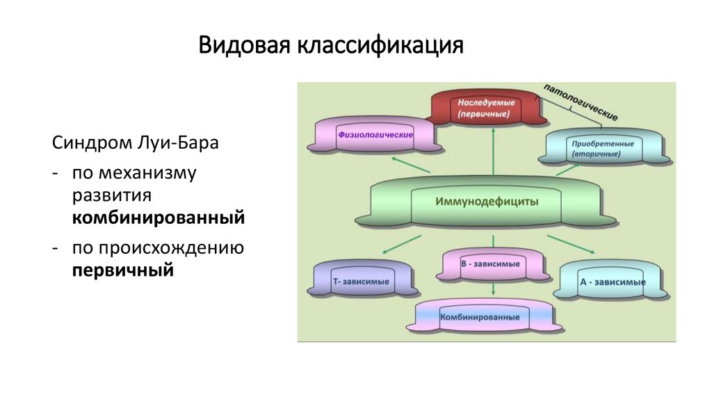 Синдром луи бар фото