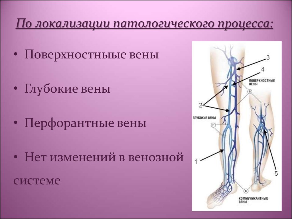 Вен нижних