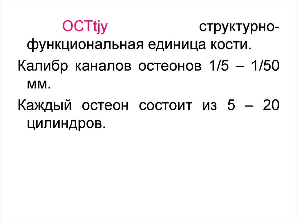 Основная структурно функциональная единица кости. Функциональная единица кости. Структурно-функциональная единица кости. Наименьшая структурно-функциональная единица кости это. Что является функциональной единицей кости.