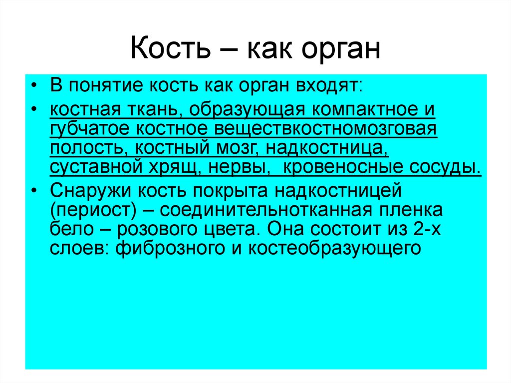 Орган определение. Кость как орган. Кость как орган кратко. Понятие кости как органа. Кость как орган краткий конспект.