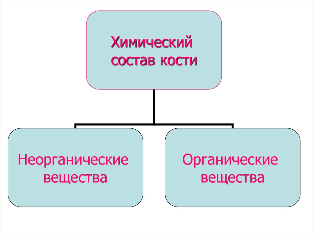 Выберите неорганические вещества