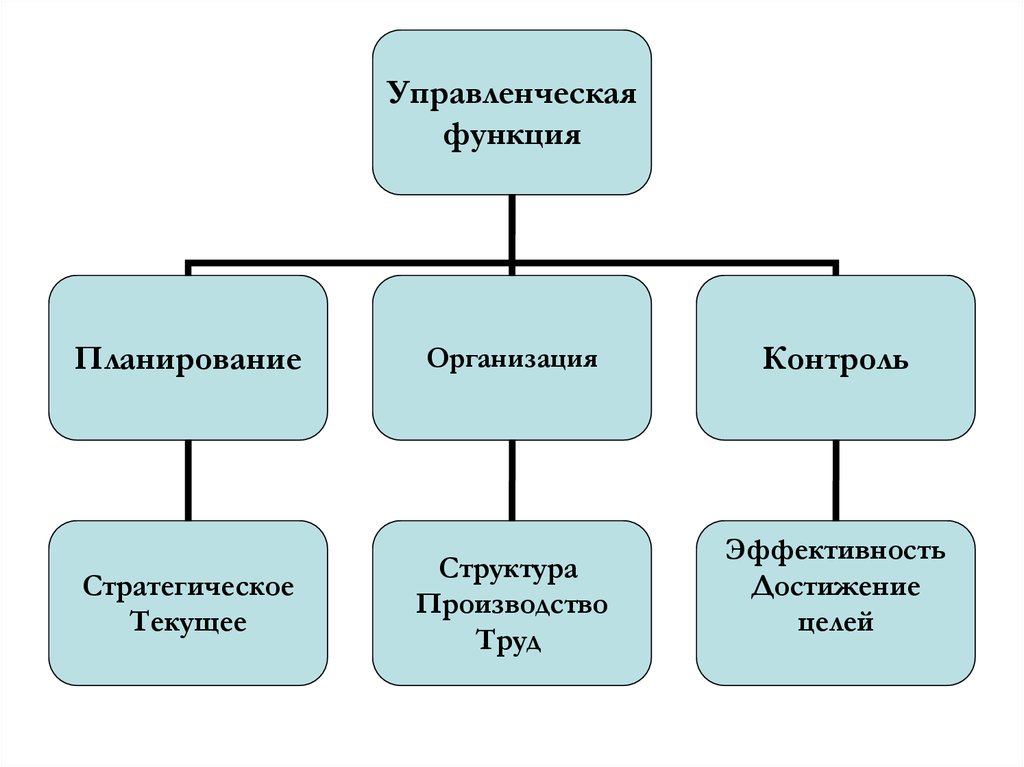 Организационный план это кратко