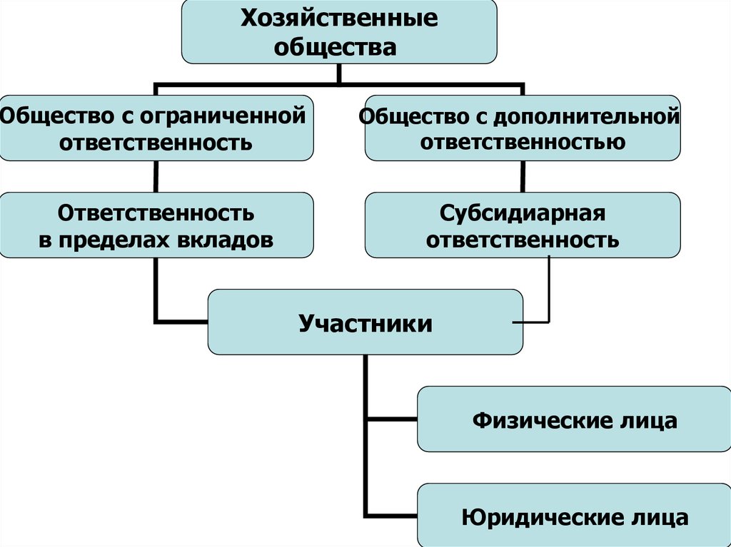 Организационная структура презентация