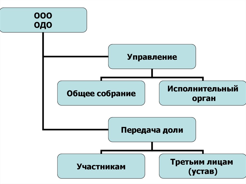 Организационный план автосалона